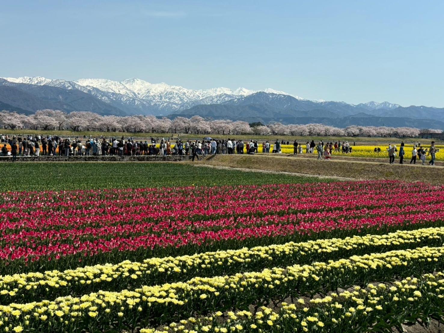 ヨーコのお宿 わくわく Toyama Station Εξωτερικό φωτογραφία