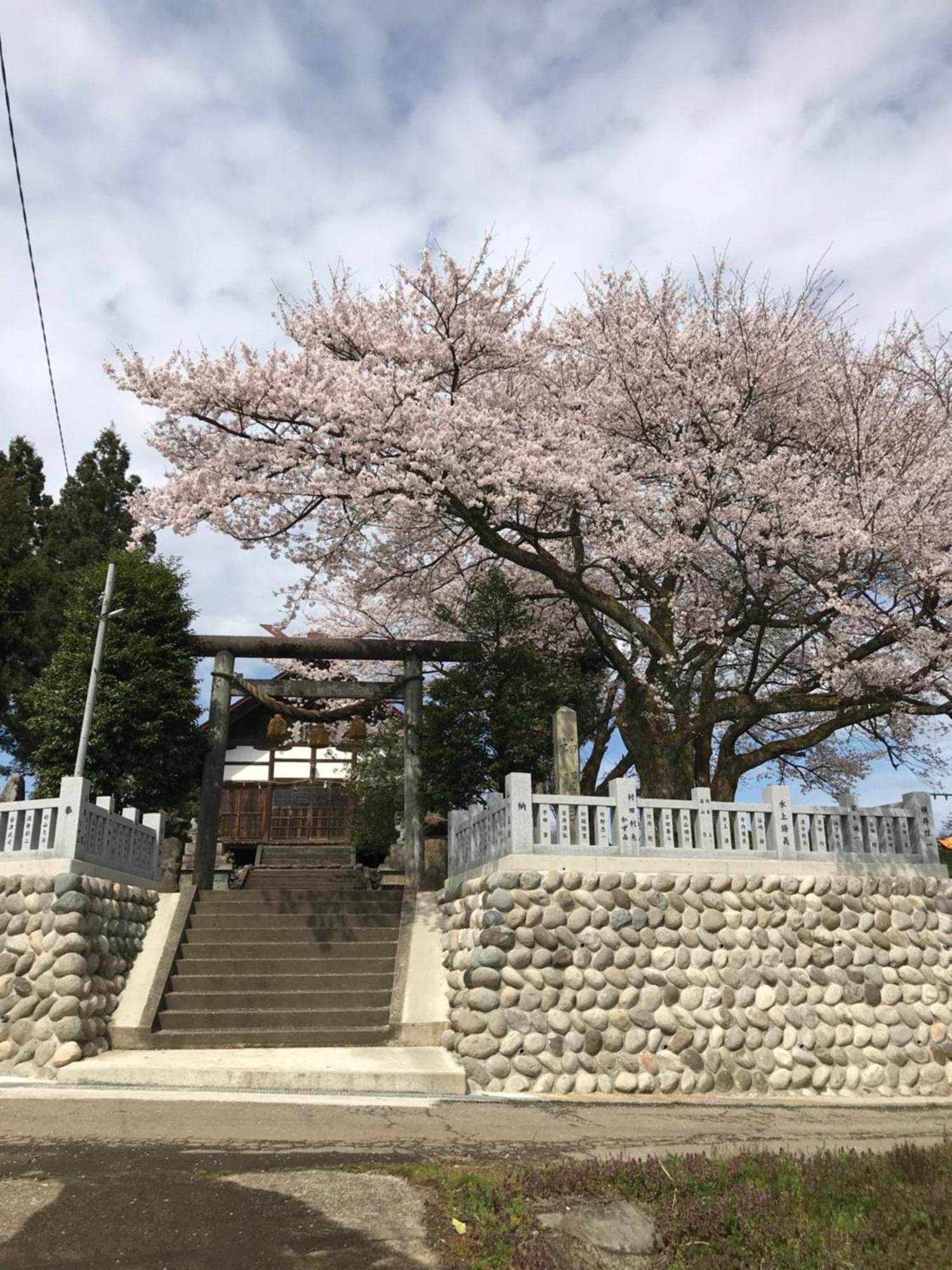 ヨーコのお宿 わくわく Toyama Station Εξωτερικό φωτογραφία