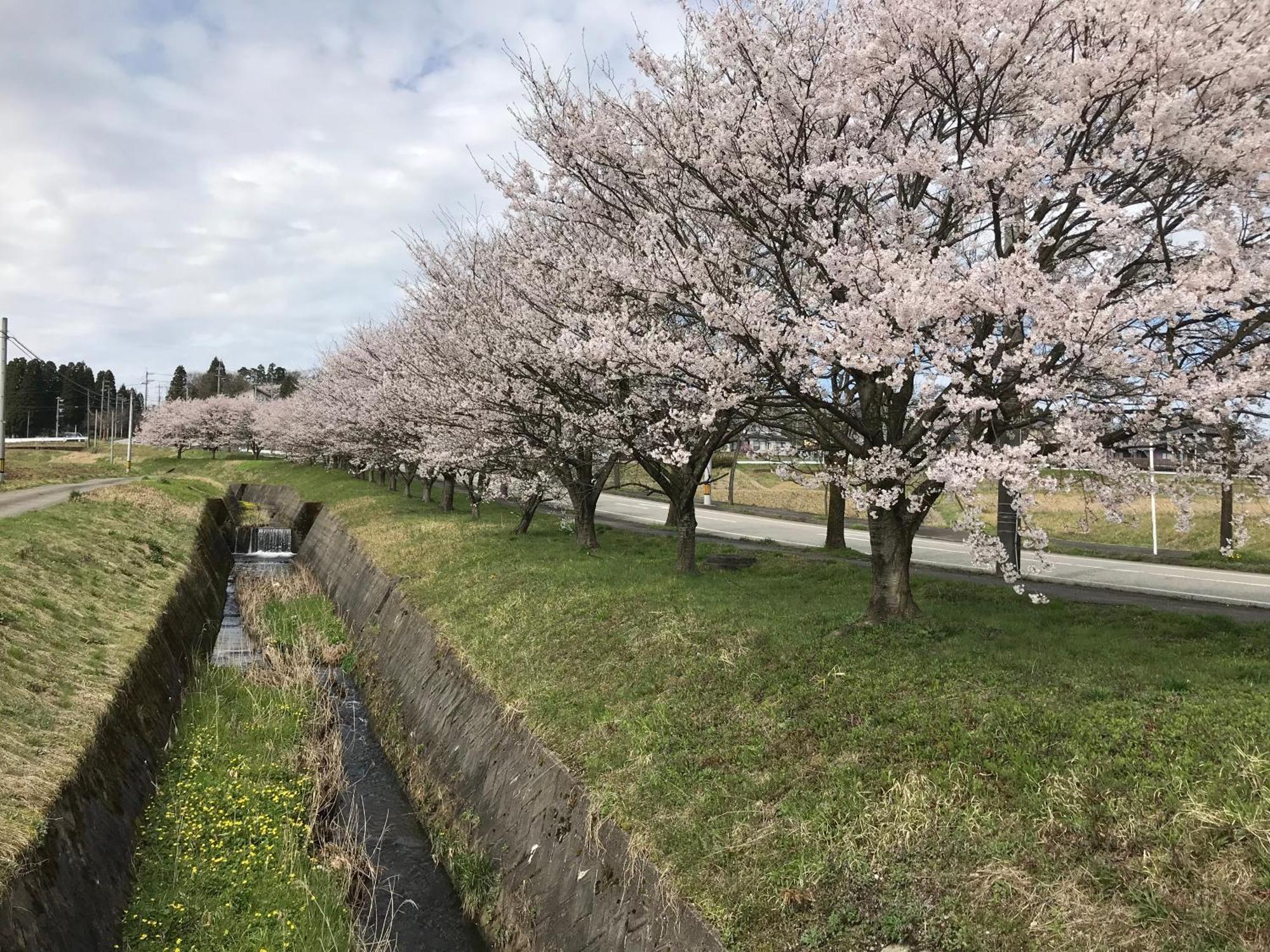 ヨーコのお宿 わくわく Toyama Station Εξωτερικό φωτογραφία